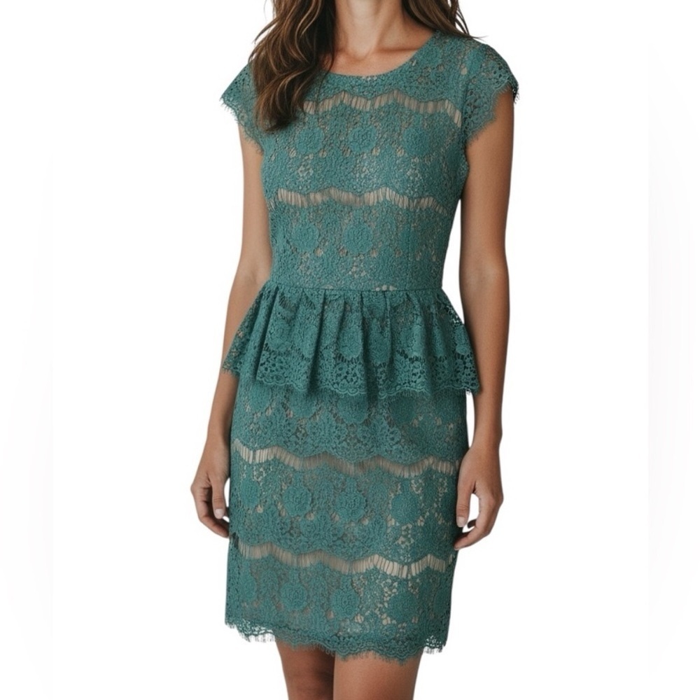 NWOT MAEVE Elsa Lace Back Zipper Lined Peplum Dress Size Small